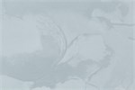 Обои 1,06*10м PALITRA Эйфория 72328-46 72328-46