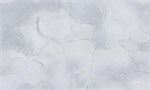 Обои 1,06*10м PALITRA Эйфория 72329-14 72329-14