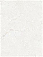 Обои 1,06*10м МОФ Альтамира 4272-2 4272-2