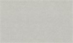 Обои 1,06*10м МОФ Арт 4259-5 4259-5