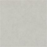 Обои 1,06*10м МОФ Арт 4259-5 4259-5
