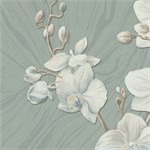Обои 1,06*10м МОФ Орхидея 4267-7 4267-7