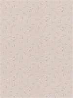 Обои 1,06*10м МОФ Ситец 4269-3 4269-3